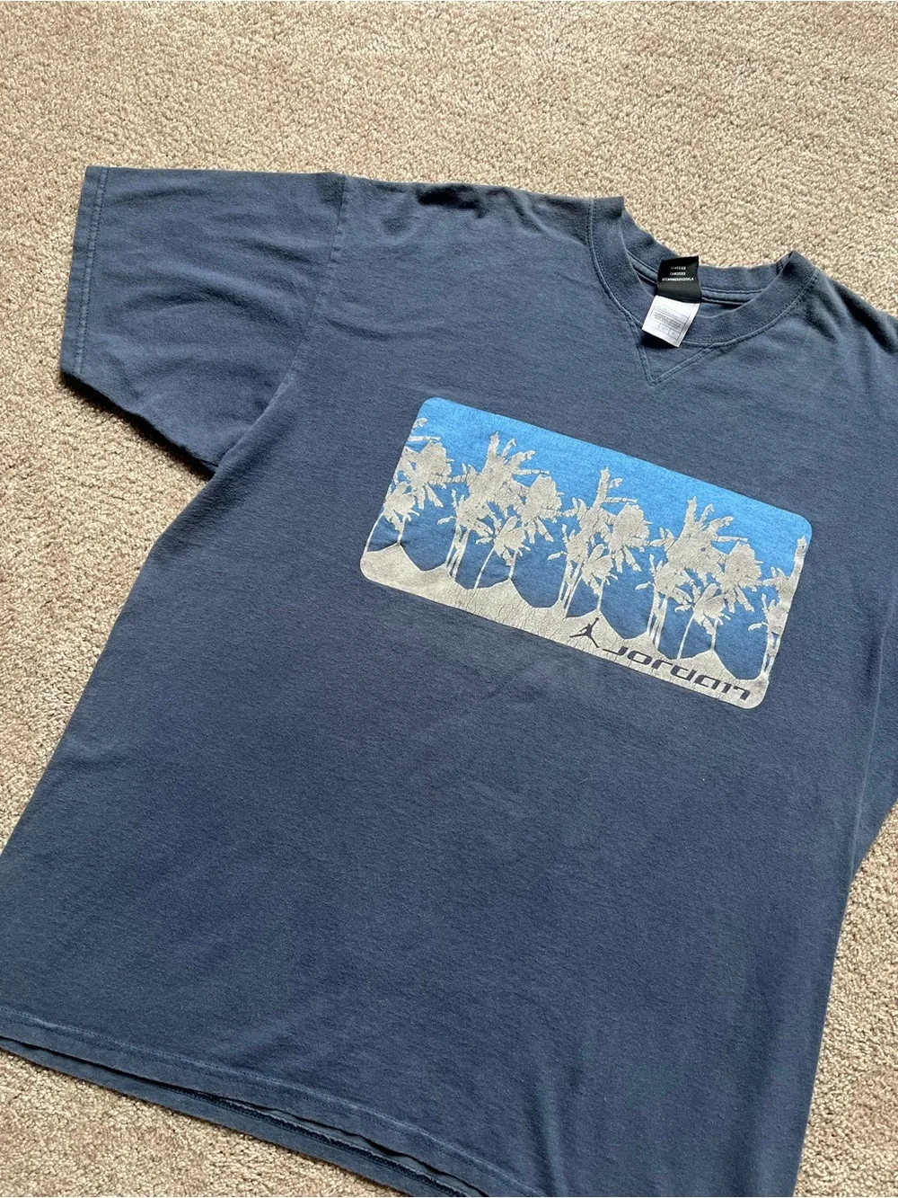 VTG 00’s / Y2K Nike Air Jordan Palm Tree Puff Print Blue Graphic Tee